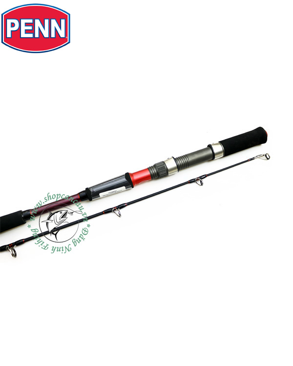 Cần câu Penn Fierce Jig - FJS602PE5-IA